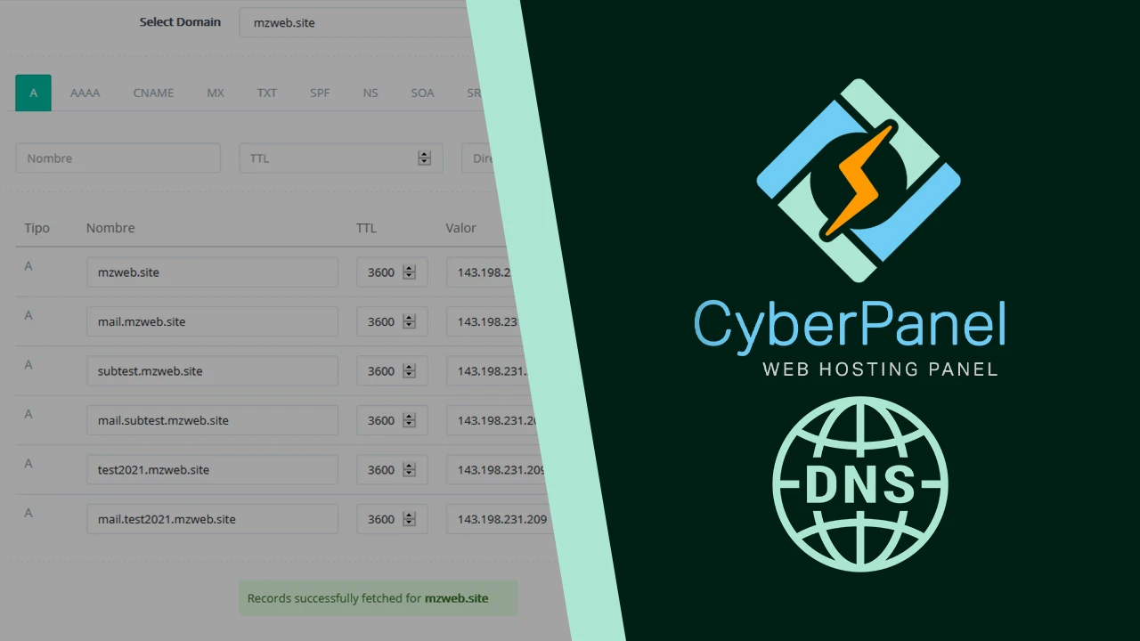 Configurar los DNS en CyberPanel